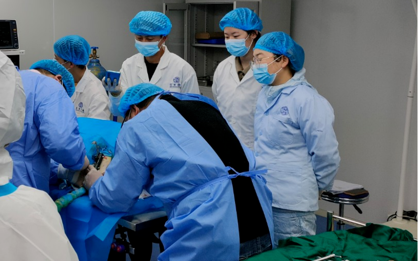 与您偕行 | 必赢网络游戏平台质检功效性及清静性评价研究效劳，，助力江西三鑫医疗科技股份有限公司医用无针注射器获批乐成