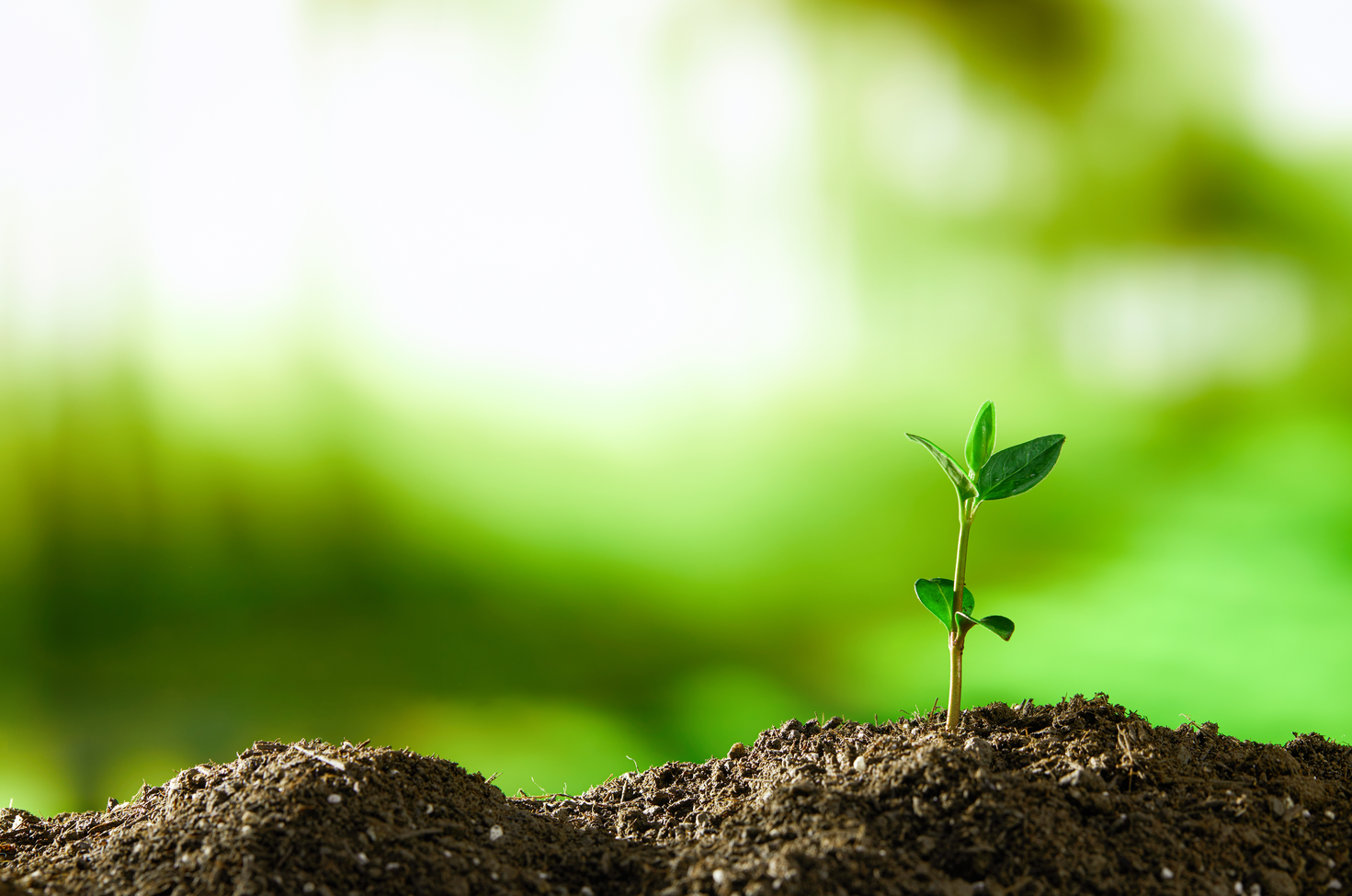 大荔县天下第三次土壤普查试点县项目